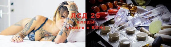 бошки Краснослободск