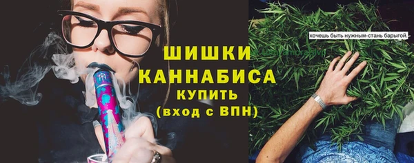 бошки Краснослободск
