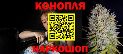 сатива Балахна