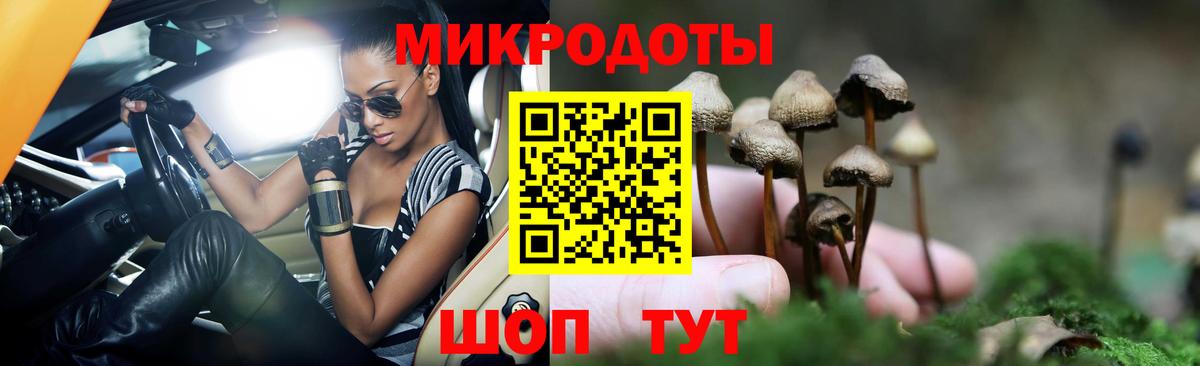 Псилоцибиновые грибы прущие грибы  Сертолово 